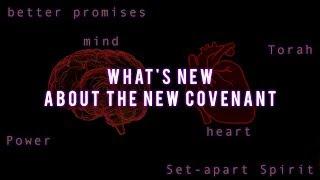 What's New About The New Covenant