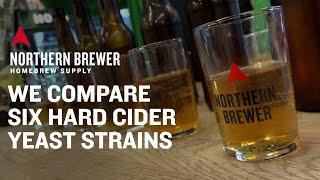 We Compare Six Hard Cider Yeast Strains