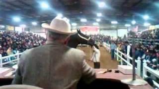 Gordyville Draft Horse Auction  Steve Andrews