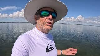 Indian River Lagoon Seagrass Update, Sebastian July 29th 2024