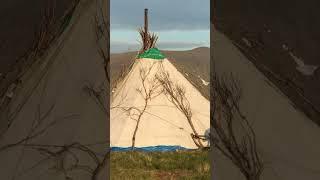  Как коренные народы севера борются с комарами #рекомендации #природа #янао #крайнийсевер