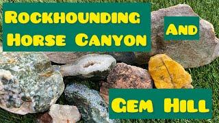 Rock hounding adventure to Horse Canyon and Gem Hill, Ca
