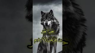 حكم وأقوال ملهمه عن واقع الحياة #حياة#حكم#أقوال#shorts#إلهام#تحفيز#نصائح_حياتية #كلام_من_ذهب
