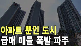 급매 매물 폭발 파주 아파트 뿐인 도시