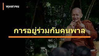 การอยู่ร่วมกับคนพาล | พุทธวจน