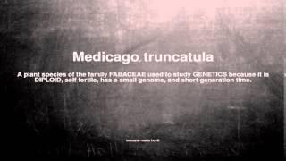 Medical vocabulary: What does Medicago truncatula mean