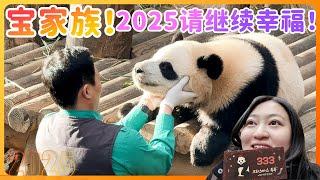 Grandpa Jiang’s year-end speech, Grandpa Song massaging Ruibao at the panda pavilion.