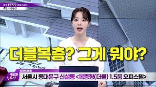 더블복층? 그게 뭐야?! | 쿼드러플 역세권, 동대문 상권중심지역 | 세운상가 재정비, 을지로개발, 4대문 정비사업 | 신혼부부, 노후투자 | 이데일리TV, 김정연