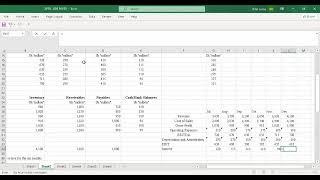 CPA Business Data Analytics (April 2024-Q22)-Ratio Analysis