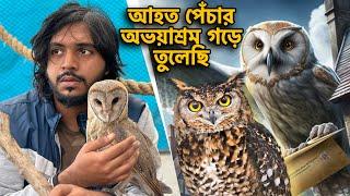 আহত পেঁচা পাখির অভয়াশ্রম গড়ে তুলেছি l Owl Bird Rescue Shelter in Bangladesh . الطيور پرندے