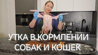 УТКА В РАЦИОНЕ СОБАК И КОШЕК.