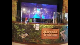 JUNGLE İSTANBUL (Tropik Hayvanların Dünyası)