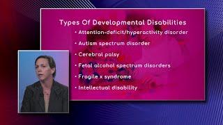 Types of Developmental Disabilities