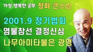 청화큰스님 법문 성륜사 정기법회 법문 20010902 염불참선 결정신심 나무아미타불은 생명의광명 | 청화스님법문 청화스님