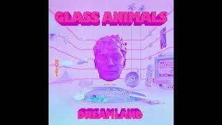 Glass Animals - It's All So Incredibly Loud