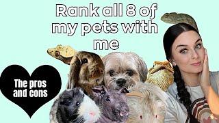 Ranking All 8 Of My Pets (the pros and cons)