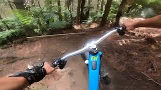 Whakarewarewa Forest Rotorua  - NGT (pre-ride)