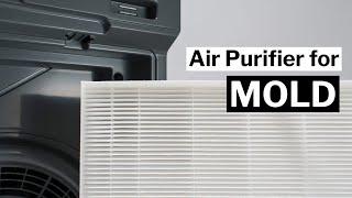 The Best Air Purifier for Mold