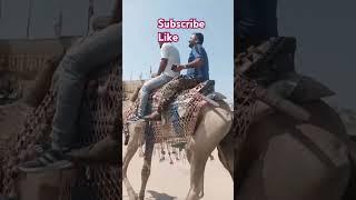 Dinesh Kumar choudhary mokampura Ramesh