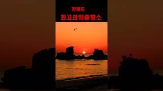해돋이 일출 명소 해돋이명소   sunrise  강원도  공현진  스뭇개바위  해돋이영상