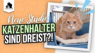 Katzenhalter sind dreist!?  Neue Studie liefert erschreckende Ergebnisse. #versicherung #tierarzt