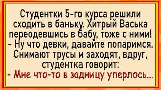 Как Васька с девками в баньку ходил! Сборник свежих анекдотов! Юмор!