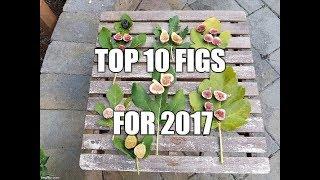 Ben B's 2017 Top 10 figs for Seattle