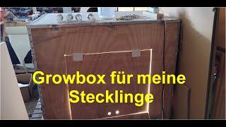 Growbox für meine Stecklinge