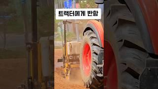 쭉 가면 콩밭 완성 #트랙터 #청년농부 #신의농부 #강화도 #콩파종