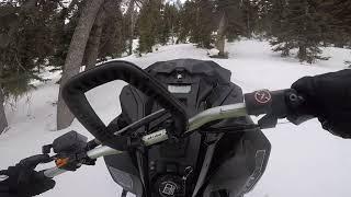 2019 Skidoo 850 165 STEEP INSANE Treeriding!!!!