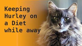 Hurley's Diet still on