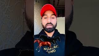 Horse challenge #viralvideo