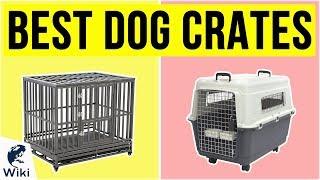 10 Best Dog Crates 2020