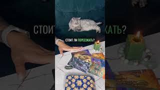 СТОИТ ЛИ ПЕРЕЕЗЖАТЬ? таро расклад