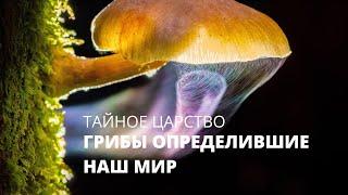 Тайное царство: Грибы, определившие наш мир (2018) [4k]