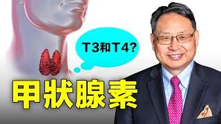 【四維健康】甲狀腺素問題導致甲亢、甲低？甲狀腺功能不足，補充T3還是T4？