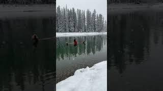 Wait for the full dip! #iceswim #coldplunge