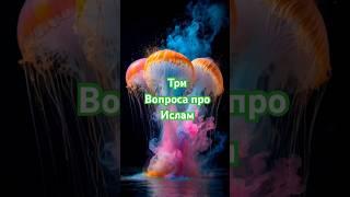 Очередные три вопроса про Ислам . Обязательно оставь класс и комментарий и не забудь подписаться