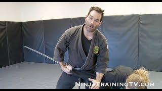 Ninja Sword Evasion Technique, Shinken Muto Dori Gata