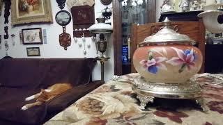 Самвел Адамян. Анжелика Снежинская. Витрина для арЫстократкЫ...