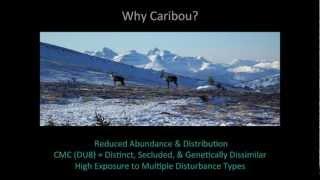 Libby Williamson-Ehlers - Quantifying 50 years of landscape change for caribou in NE BC