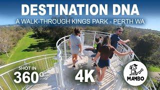 Kings Park Walk 4K | Botanical Garden | UHD #2024 #perth #lestweforget