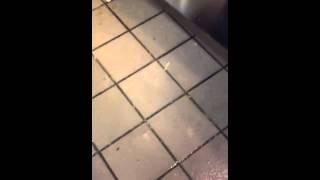 Help my restaurant -/: