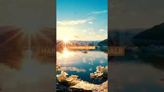HARAM-NOOR-UL-QALB #islamicvideos #qurantilawat #quran