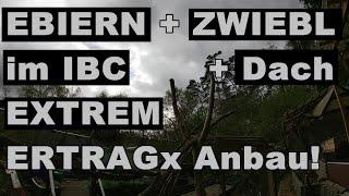 EXTREM - Ertrags - Anbau am Beispiel von EBIERN + Zwiebel