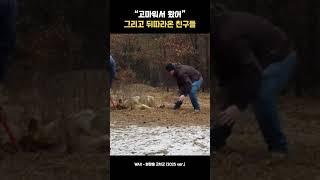 늑대를 구해줬다