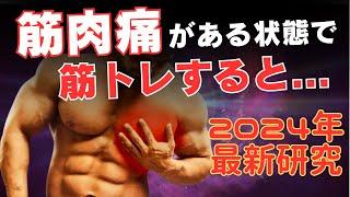 【2024 NEW STUDY】筋肉痛がある状態で筋トレをすると筋肉はどうなる？…　~筋トレは続けて良いのか？休息をとるべきか？~