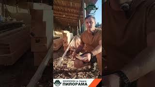 Пилорама «САДИБА PRO» Пиломатеріали від виробника +380950505002 м. Харків