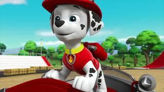 Paw patrol ll wildcat comes to the adventure bay ll Moto pups pups vs.the ruff ruff pack