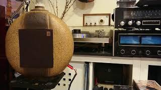 Da&t A15 amp with Jordan watts speaker